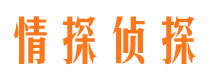 岳麓捉小三公司